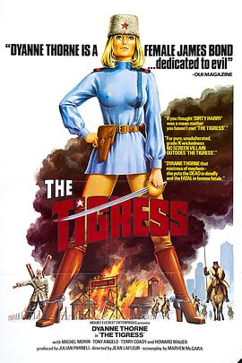 四川域名seo优化